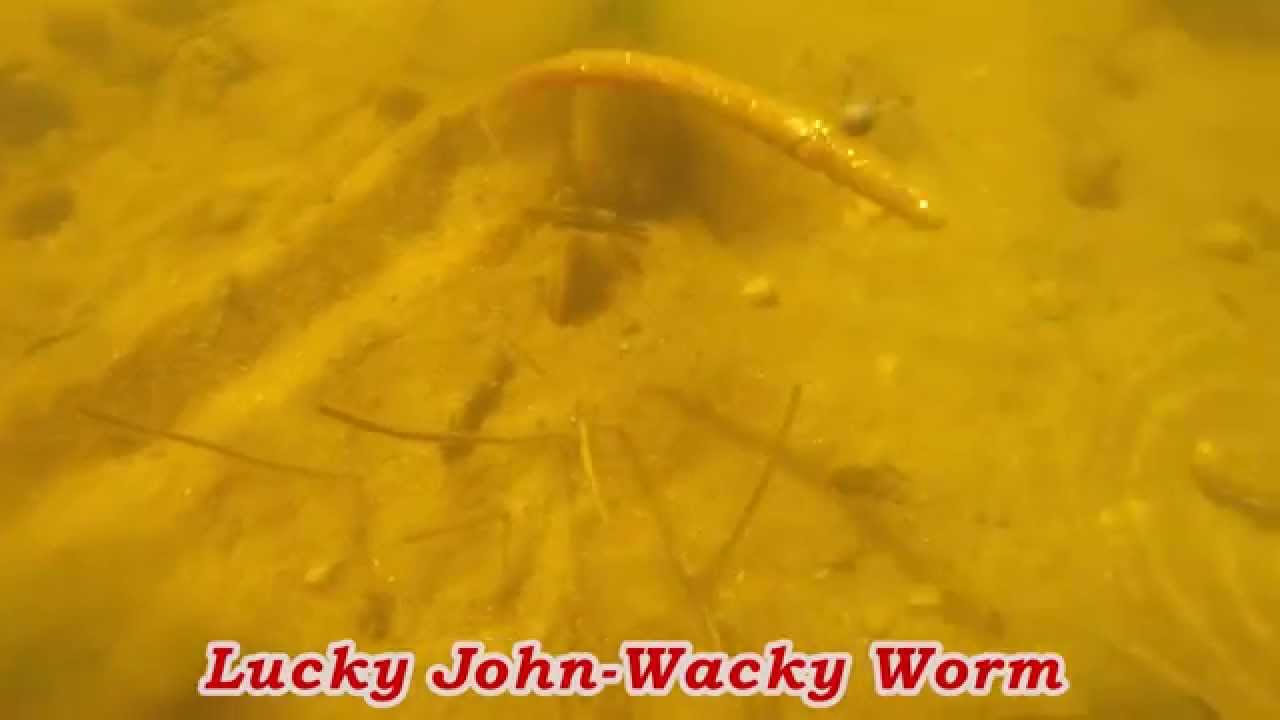 Видео Силикон Lucky John Wacky Worm 3,9