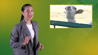 Informativo UABC - Emisión #7 | Noticiero universitario