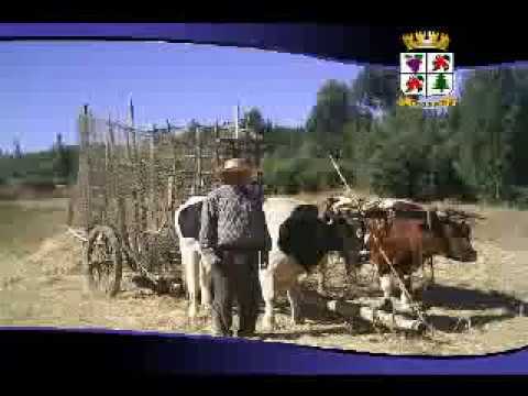 Trehuaco tradiciones junto al mar