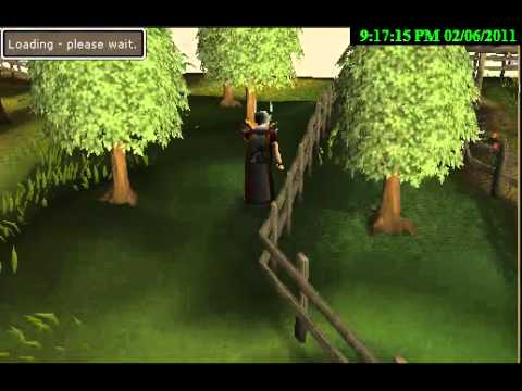 Walking around on runescape part 2