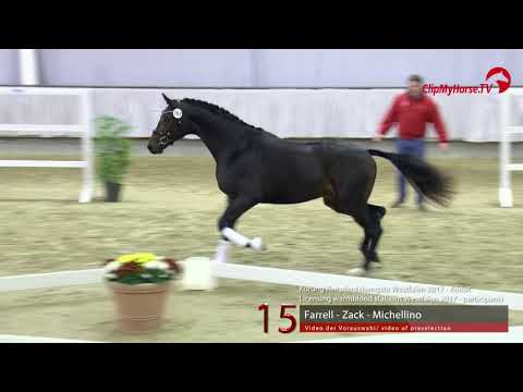 15 Junghengst v. Farrell - Zack