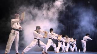 K Tigers Taekwondo