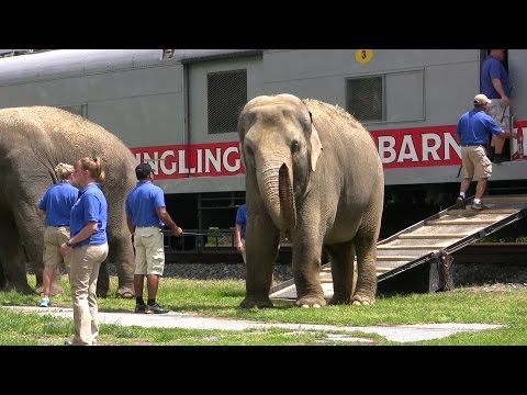 Ringling Brothers Circus Train and Animal Walk at Hershey