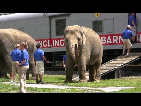 Ringling Brothers Circus Train and Animal Walk at Hershey