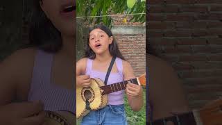 Cuando salgo a los campos