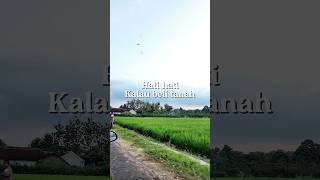 Download lagu Don't buy land if there is no road access #tips mp3