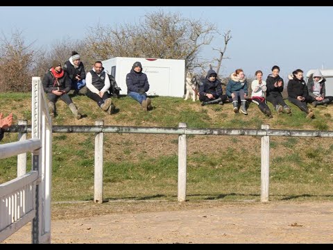 CSO Muret 13/02/2022 - Hippo'these les écuries d'en Gautier