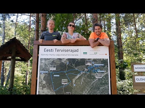 Tempomeistrite lemmik terviserada