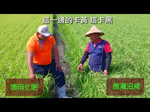 107年雲林縣沼液沼渣農地肥分使用施灌作物篇