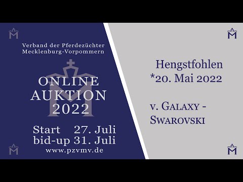 Nr. 7 Hengst v. Galaxy/Swarovski/Rubinstern