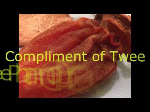 Hoshigaki -- Japanese sundried persimmons