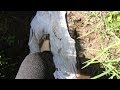 River Wetlook Movie Fleece Gets Stomped In Mud