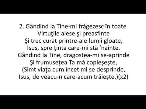Gândind la Tine - video