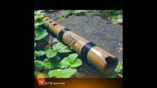 Smriti Sannidhya Bhuyan songs Flute Music status �