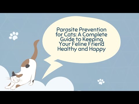 Parasite Prevention for Cats: A Complete Guide to Keeping Your Feline Friend Healthy and Happy