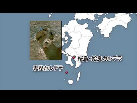 フィロノリクター・ブランカルデラについて詳しく解説