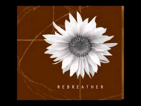 Rebreather - Sunflower