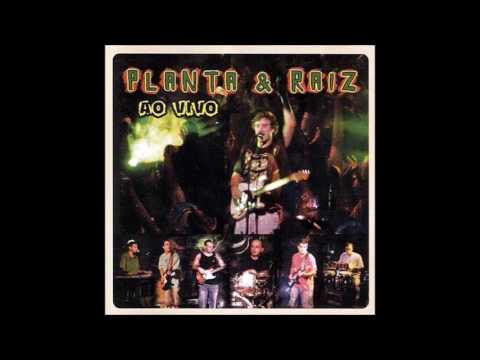 Será? - Planta e Raiz
