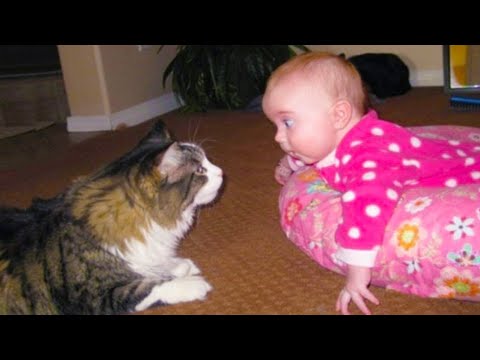 Baby And Cat Funny Fails Compilation - 10 Minutes Funny With Babies