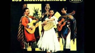 Los Machucambos - El Cuchipe