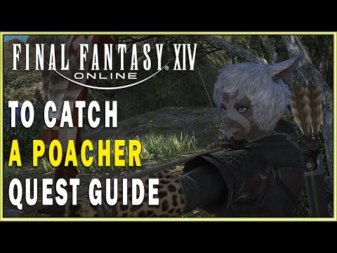FINAL FANTASY XIV - To Catch a Poacher Quest Guide | FFXIV Archer Quests Walkthrough