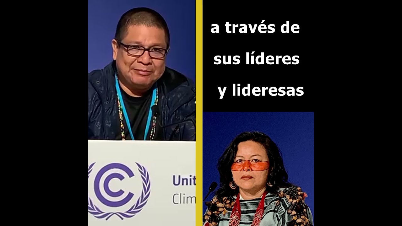 Resumen participación COP 26