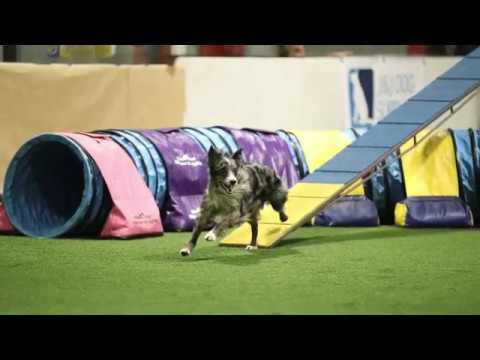Fantastic Running Contacts - Clean Run