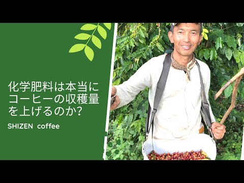 サボテン卵殻トマト用のコーヒー粉の量