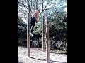 Street workout - muscul up suivi d'une passe bar ...