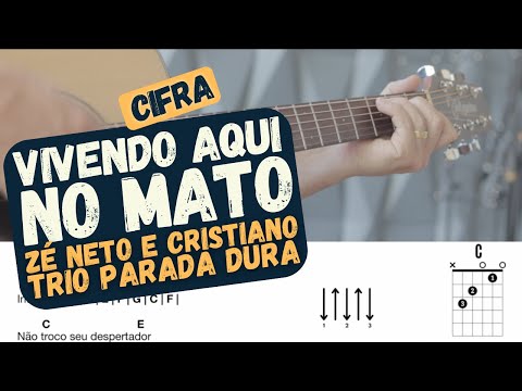 Vivendo Aqui no Mato - Aprender a tocar - Cifra - Alexandre Engler