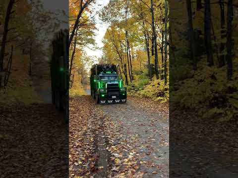 Custom Western Star Truck With Serco Log Loader!
