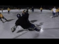 Bandy Goalkeeper Saves From February 2017