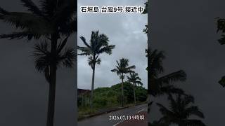 石垣島 台風9号 川平湾〜名蔵湾付近 2026.07.109時頃 暴風報が発令され、バスはこれ以後運行停止となっているようです #台風9号 #石垣島