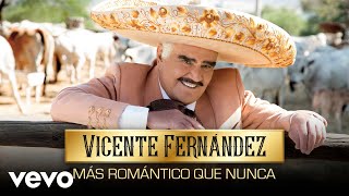 Vicente Fernández - No Me Platiques Más (Cover Audio)