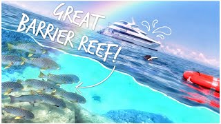 We Go Snorkelling on the Great Barrier Reef | Giant Clams, Huge Fish & Sharks | Down Under Tours