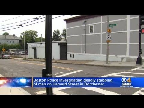 Stabbing in Dorchester leaves man dead
