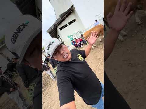 Plaza pecuaria san Marcos Cajamarca Perú #arribalaganaderiaperuana