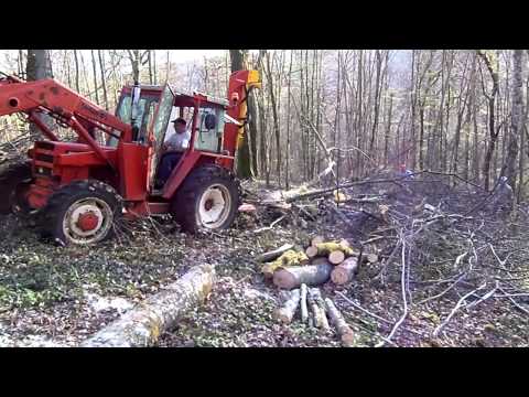 A LA CAMPAGNE HAUTE AMANCE 02