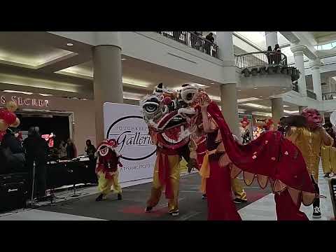 2022-02-19 Poughkeepsie Galleria Lion Dance