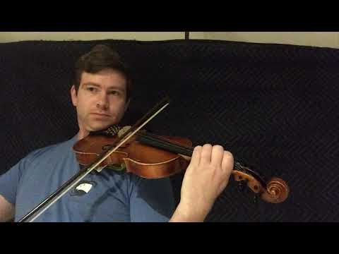 Saltarello II: A 14th Century Italian Dance Music.