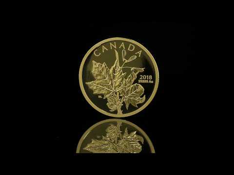 1 oz. 99.999% Pure Gold 2-Coin Set - Enchanting Maple Leaves | Royal Canadian Mint