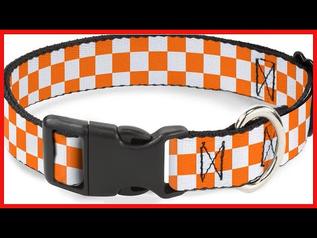 Vídeo relacionado con Buckle-Down DC-WMC111-L Collar de Perro con cinturón de Seguridad, Grande, Insignia de Guardianes de la Galaxia, Iconos de 5 Caracteres, Negro/Multicolor