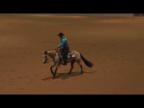 190221 Novice Horse Matt Goodman on Spooks Gota Blonde