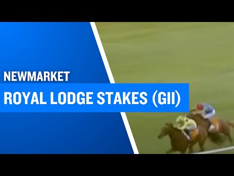 2025 Royal Lodge Stakes at Newmarket