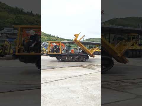 MST-800VDL 81190 2026.06.03