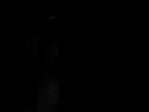 Bass effects xl invites beta brothers and friends life