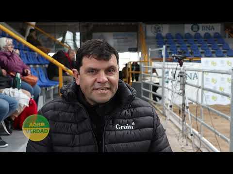 Garbanzo. La Jornada anual del Cluster de Córdoba se realizará el 8 de octubre en Cañada de Luque