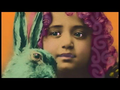 Back in Judy's Jungle _ Brian Eno