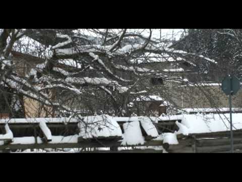 Pensiunea Sami  | Voronet  www.pensiuneasami.ro