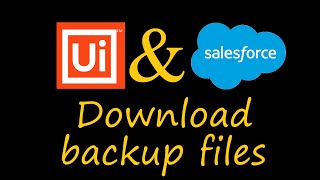 How to Download Backup Files from Salesforce Using UIPath Robots
